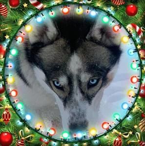 Meet your Posher, Patti